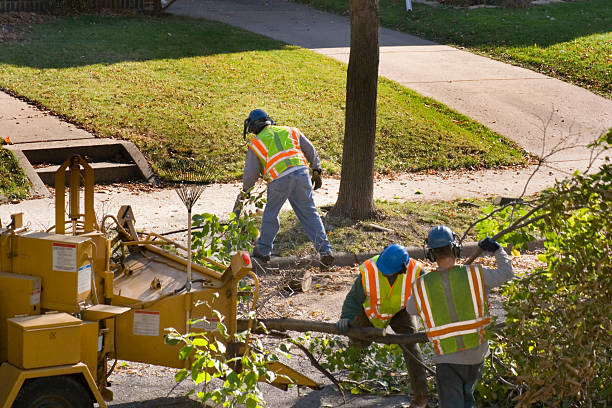 Best Seasonal Cleanup (Spring/Fall)  in Alafaya, FL